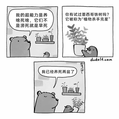 这是一幅由dudolf创作的三格黑白卡通漫画，第一格中，一只熊向身旁的小鸟吐槽自己的“超能力”是养什么植物都会死，这些植物要么被涝死要么被旱死，背景的架子上摆放着几盆已经枯萎的植物；第二格中，小鸟捧着一盆墨西哥铁树，向熊推荐这种被称为“植物杀手克星”的、号称极其好养的植物；第三格中，熊无奈地表示自己已经养死两盆这种墨西哥铁树了，此时小鸟手中的铁树也已经呈现枯萎状态，架子上的植物依旧没有存活下来，漫画通过夸张的反差情节，塑造了一个“终极植物杀手”的形象，充满幽默搞笑的氛围。