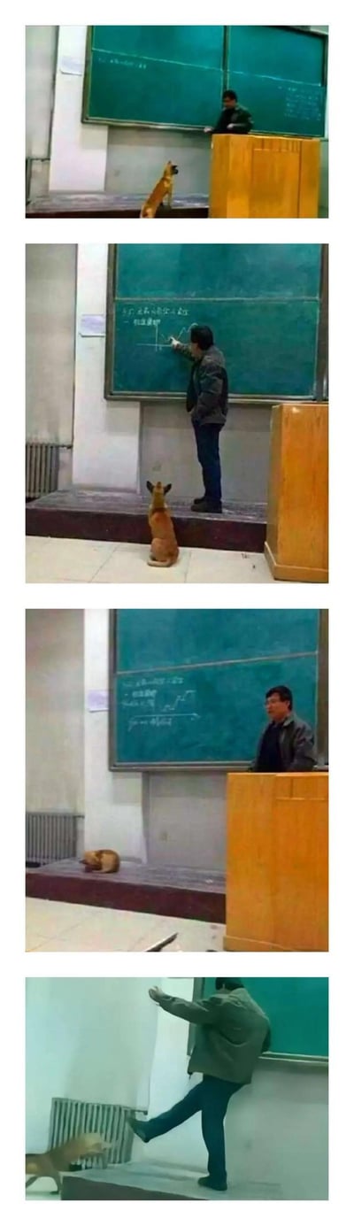 这是一组四格拼接的校园趣图，记录了课堂上教授与一只狗子的搞笑互动。第一格：教授站在讲台后讲课，狗子乖巧地站在讲台旁，仿佛在认真听讲；第二格：教授转身在黑板上写公式，狗子坐在讲台前，仰头注视黑板，姿态专注如学生；第三格：教授继续板书，狗子则趴在地上，似乎有些“听累了”开始休息；第四格：教授突然抬脚做出踢向狗子的动作，狗子受惊迅速从讲台边溜走，画面充满反差萌。整个系列通过狗子从“学霸”到“被驱逐”的转变，展现了课堂中意外的温馨与幽默瞬间。