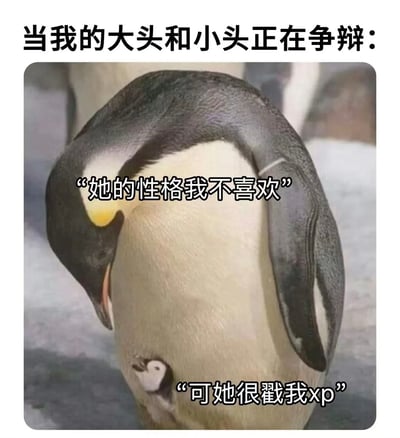 这是一张网络搞笑梗图，顶部配有说明文字“当我的大头和小头正在争辩：”，主体是一只低头站立的帝企鹅，创作者将企鹅的头部对应为代表理性思考的“大头”，将企鹅腹部自然形成的酷似小脸的羽毛纹理对应为代表本能欲望的“小头”，分别给两个位置配上对话：头部对应文字“她的性格我不喜欢”，腹部小脸对应文字“可她很戳我xp”，用趣味拟人化的方式，调侃人在对他人产生好感时，理性判断和本能喜好产生矛盾、互相拉扯的状态，笑点十足。