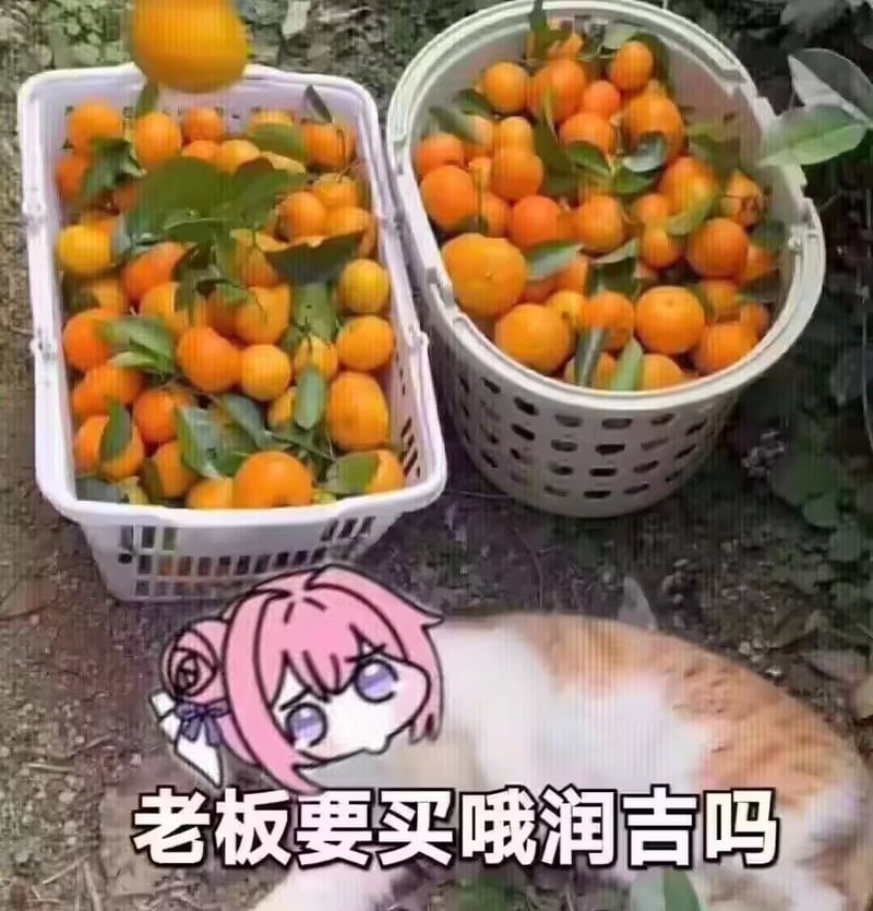 Doro卖哦润吉表情包