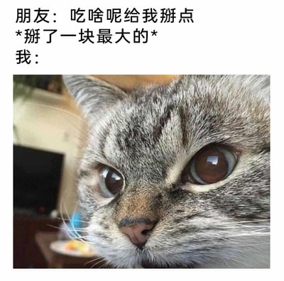 这是一张图文结合的搞笑表情包，上方文字构建了一个和朋友相处的日常场景：朋友看到“我”在吃东西后索要食物，并且直接掰走了最大的一块；下方搭配了一张狸花猫的面部特写图，猫咪双眼瞪大，眼神里满是心疼、委屈又带着不敢置信的情绪，眉头微蹙，表情纠结，精准地还原了自己的美食被拿走最大部分后，内心不舍却又无可奈何的真实心情，十分贴合人们遇到这种情况时的心理活动，充满了生活化的趣味。