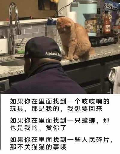 这是一张经过二次创作的搞笑网络梗图，画面上方呈现了一个厨房场景：一位戴着印有“Appliance Repair”字样帽子的家电维修工人背对着镜头，在厨房内开展维修工作，一只橘猫蹲在厨房的台面上，低头看向工人，神态显得有些严肃。画面下方配上了以橘猫口吻说出的三段无厘头文字，内容分别是叮嘱工人找到自己的玩具要归还、蟑螂可以送给工人，若发现“人类碎片”则和自己无关，通过拟人化的手法和荒诞的内容制造出强烈的搞笑效果，将橘猫塑造成一个有点“心虚”却又理直气壮的可爱形象。