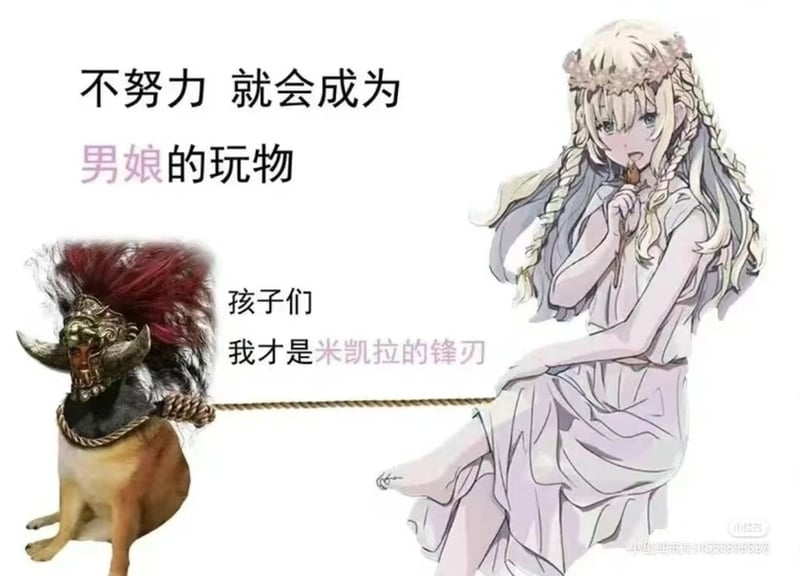 米凯拉的锋刃