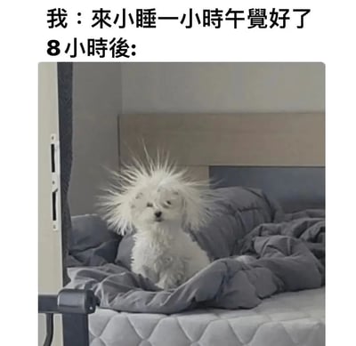 暂无描述