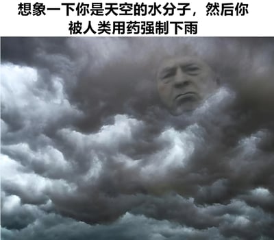 图片上方配有文字“想象一下你是天空的水分子，然后你被人类用药强制下雨”，下方为一张乌云密布的图片，云层中隐约融合了一张人类的脸，表情显得严肃而无奈。通过拟人化的手法，将水分子被强制下雨的情景幽默地展现出来，暗喻被迫做某事的感受。