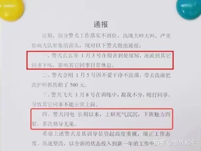这是一张以正式通报格式呈现的搞笑纯文字图，将打工人的职场常见问题拟人化到警犬身上：警犬幺幺零在宿舍乱尿影响同事、警犬金刚不爱干净抓伤洗护师赔钱、警犬飞天训练时殴打同事、警犬闪电“上班死气沉沉，下班魅力四射”。用严肃的通报语气包装诙谐的职场吐槽内容，反差感拉满，精准戳中众多打工人的日常状态，引发强烈共鸣。