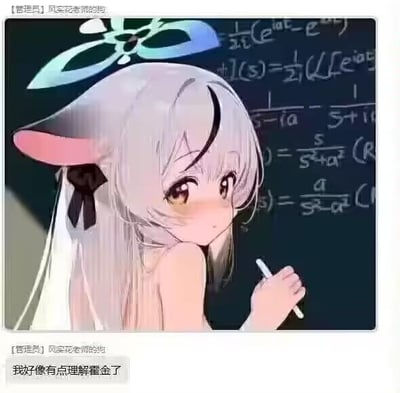 这是一张图文结合的聊天记录梗图，上方是AI生成的银发兽耳二次元少女，她有着浅灰色长发、粉色兽耳，头顶还有浅蓝色的光环装饰，手持粉笔站在写满复杂数学公式（包含复变函数、拉普拉斯变换相关内容）的黑板前，脸颊泛红，回头看向镜头，神态带着羞涩感；下方是社群聊天框，管理员账号“风实花老师的狗”发布消息：“我好像有点理解霍金了”。图中用可爱的二次元学霸少女和高深数学公式形成反差，再搭配自嘲式的文案，用夸张的方式调侃自己在接触复杂知识时，产生的一种仿佛突然能理解顶尖学者的错觉，制造出搞笑的反差效果。