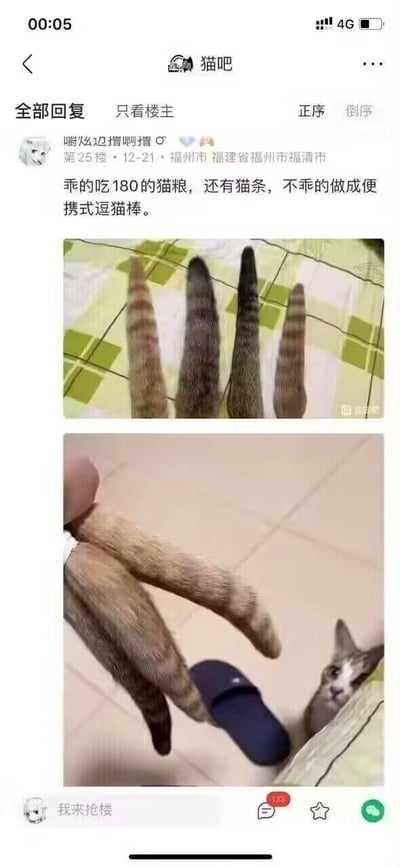 这是百度贴吧“猫吧”中的一条用户回复内容，包含两张玩视觉错位梗的图片。第一张图里四根猫咪尾巴并排摆放，因形态和排列方式，视觉上酷似四根手指；第二张图中，两根猫咪尾巴被固定在人手上，模拟手指捏起拖鞋的动作，画面右侧的猫咪露出惊恐的表情，仿佛在担心自己的尾巴被“利用”。配文“乖的吃180的猫粮，还有猫条，不乖的做成便携式逗猫棒”，以玩笑的语气调侃不听话的猫咪，结合错位图的趣味视觉效果，制造出“把猫尾巴做成逗猫棒”的搞笑反差，充满养猫日常的趣味性。