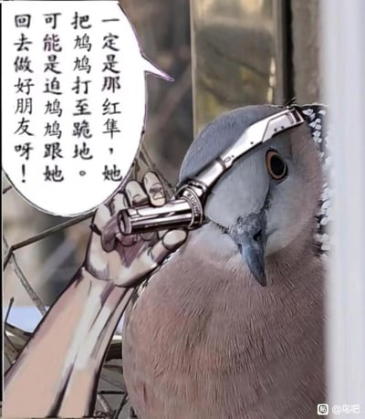 这是一张网友创作的搞笑合成P图，将真实拍摄的珠颈斑鸠照片与漫画风格的手绘元素（手、枪械、对白气泡）结合，构建出“斑鸠被枪抵住头部”的趣味场景。对白内容玩了谐音梗，用“鸠鸠”对应鸟类的叫声“啾啾”，调侃斑鸠是被红隼打至跪地，被迫和对方回去做好朋友，真实动物的懵态加上强行加的“被迫剧情”，反差感拉满，充满搞笑效果。
