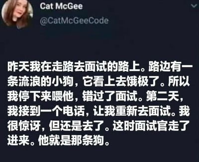 这是一张社交媒体截图，内容是用户Cat McGee发布的一条帖子，讲述了一个荒诞幽默的故事：她在去面试的路上因喂食流浪狗而错过面试，第二天接到重新面试的电话，结果发现面试官就是那条狗。