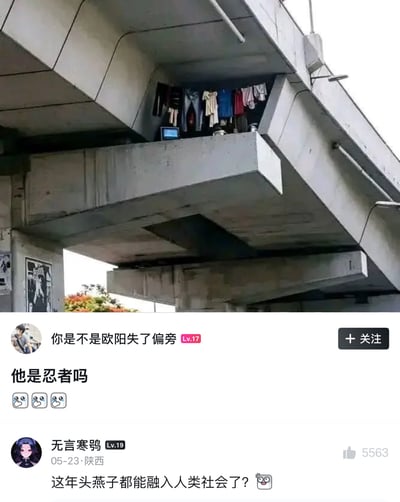 这张图属于图文混排的搞笑梗图，上半部分是实拍场景：高架桥的混凝土结构缝隙中有一处十分隐蔽的空间，有人在此处居住，空间里晾晒了多件不同颜色的衣物，还摆放有电子设备等生活用品，位置很高且藏在桥梁结构之间，很难被人发现。下半部分是社交媒体的评论区，有网友调侃居住在这里的人像忍者一样擅长隐藏，另有网友玩谐音梗，把这个处在高处的狭小隐蔽居所比作燕子的巢穴，戏称“这年头燕子都能融入人类社会了”，搭配房产销售宣传风格的夸张标题，整体趣味感十足。