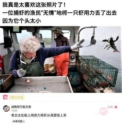 这是一张带有搞笑效果的视觉错位类梗图，属于社交媒体传播的搞笑内容。图中上方配文称“一位捕虾的渔民‘无情’地将一只虾用力丢了出去，因为它个头太小”，但实际画面是视觉错位带来的错觉：画面里的白发渔民一只手向前伸出，另一只手握着带线组的物品，画面右侧的龙虾看起来像是被渔民丢出，但实际上渔民的手并未接触龙虾，是拍摄角度造成的错位效果。下方的热门评论点破了这个笑点，评论“老太太在船上用原力将虾从海里吸上来”，和上方配文形成反差，制造出强烈的搞笑感，让原本普通的捕虾场景照片变成了一个趣味梗图。