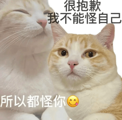 图片中展示了两只橘白相间的猫咪，左侧猫咪闭着眼睛，表情惬意放松；右侧猫咪睁着圆溜溜的大眼睛，表情无辜地直视前方。图片上方配有文字“很抱歉 我不能怪自己”，下方配有“所以都怪你 😋”，通过猫咪可爱的表情和幽默的文字搭配，形成了一个推卸责任的搞笑场景，让人忍俊不禁。