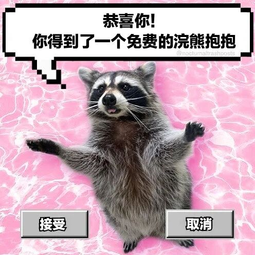 浣熊