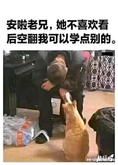 这是一张文字加注的静态梗图，画面里一名男子低着头、双手抱膝，神情沮丧失落，身旁的橘色猫咪抬起爪子轻轻触碰男子的手，姿态温柔。图片上方配有人拟猫咪口吻的文字：“安啦老兄，她不喜欢看后空翻我可以学点别的。”，将猫咪的动作拟人化，解读为它在安慰因讨不到心仪之人欢心而低落的男子，用可爱的宠物互动搭配搞笑的拟人文字，营造出暖心又带点诙谐的治愈氛围。