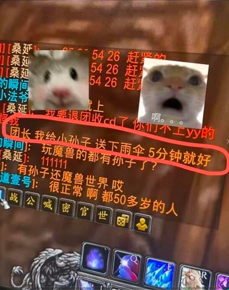震惊仓鼠