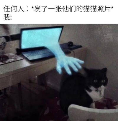 图片上半部分为文字“任何人：*发了一张他们的猫猫照片* 我:”，下半部分是一只黑白相间的猫坐在椅子上，表情惊讶地看向从笔记本电脑屏幕中伸出的一只发光蓝色手，生动展现了看到他人分享猫咪照片时迫不及待想互动的夸张反应。