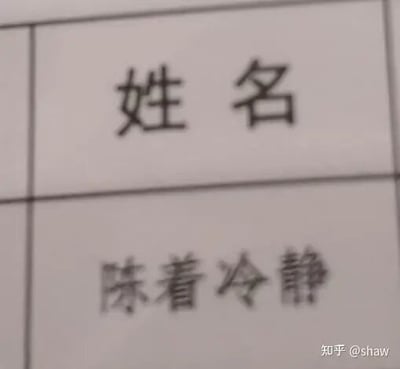 这是一张静态单图，属于图文混排的顶配底文图，内容为表格的局部区域，上方单元格标注“姓名”，下方单元格填写的是“陈着冷静”，该内容利用谐音梗将成语“沉着冷静”替换为姓氏“陈”，创造出一个充满趣味的虚构姓名，以此制造出搞笑的效果，图片右下角带有“知乎@shaw”的水印。