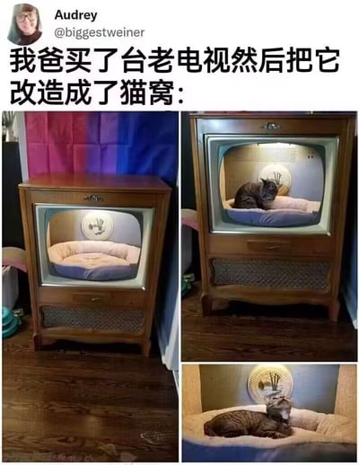 这是一组展示旧物改造创意的多图拼接内容，呈现了用户的父亲将一台木质外壳的老式落地电视机改造成猫窝的成果：左侧图片展示了空的改造猫窝，保留了电视机复古外观，内部放置了柔软的双色睡垫，后方还有装饰；右侧上图是一只虎斑猫待在猫窝内的样子；右下角特写图则记录了猫咪惬意躺卧在猫窝里的放松状态。整个改造既实现了旧物的循环利用，又为猫咪打造了一个新奇舒适的小窝，画面温馨治愈，充满生活趣味。