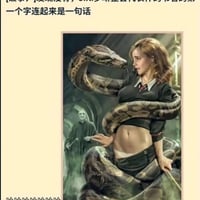 哈利·波特