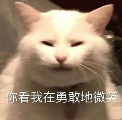 图片为一只白色猫咪的特写，毛发蓬松，耳朵竖起，双眼半眯，嘴角微微上扬，呈现出一种略带勉强却努力维持的微笑表情。图片底部有白色文字“你看我在勇敢地微笑”，文字与猫咪的表情形成呼应，通过猫咪拟人化的神态传递出一种“即使内心可能并非如此，也要努力展现积极一面”的幽默与共鸣感。