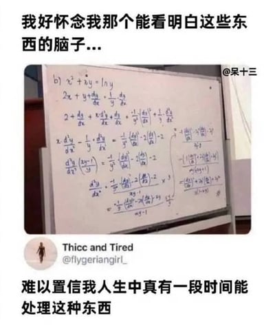 图片上方配有文字“我好怀念我那个能看明白这些东西的脑子...”，中间是一块写满复杂数学公式（包含偏导数、自然对数等微积分相关内容）的白板照片，下方文字为“难以置信我人生中真有一段时间能处理这种东西”。整体通过对比曾经能理解高等数学与现在看不懂的状态，表达了对过去学习能力的怀念与自嘲。
