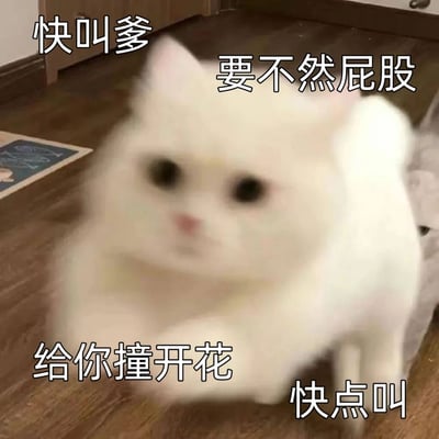 图片中是一只毛茸茸的白色猫咪，表情傲娇，身体微微前倾，似乎正做出威胁的姿态。图片上覆盖着四行文字：'快叫爹'、'要不然屁股'、'给你撞开花'和'快点叫'，形成了一种反差萌的搞笑效果。猫咪的可爱外表与威胁性文字形成鲜明对比，营造出幽默的氛围。