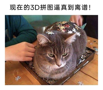 这是一张充满趣味的创意梗图，画面中一只灰棕色带斑纹的猫咪一脸无奈、眼神略带不满地趴在拼图盒子里，占据了盒子的大部分空间，两个人的手正将拼图碎片往猫咪的背上放置，仿佛猫咪就是这个“3D拼图”的本体。配合上方的文字“现在的3D拼图逼真到离谱！”，制造出猫咪是超逼真3D拼图的搞笑错觉，猫咪嫌弃又无奈的表情进一步增添了画面的幽默氛围，调侃了猫咪爱待在狭小空间、爱捣乱人类活动的习性。