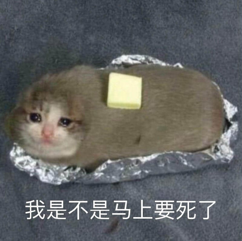 裹锡纸顶黄油的小可怜：我是不是马上要死了