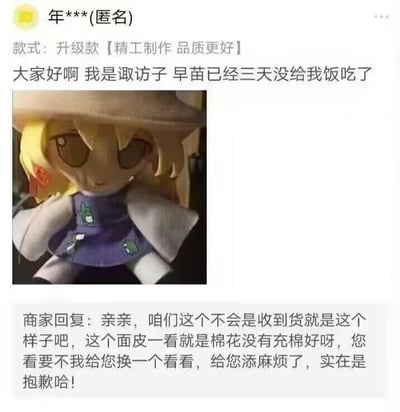 这是一张社交媒体截图，内容为匿名用户“年***(匿名)”发布的商品相关帖子。帖子上方标注款式为“升级款【精工制作 品质更好】”，正文以第一人称“诹访子”的口吻写道“大家好啊 我是诹访子 早苗已经三天没给我饭吃了”，并配有一张诹访子plush玩具的照片，plush玩具穿着紫色连衣裙，戴着帽子，表情略显呆滞。下方有商家回复，称收到的商品面皮可能存在棉花充棉不足的问题，并提出换货解决方案。整体内容通过角色扮演的方式对plush玩具的外观进行搞笑吐槽，结合商家的正式回复形成幽默对比。