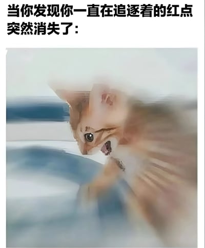 图片上方配有文字'当你发现你一直在追逐着的红点突然消失了：'，下方是一张动态模糊的猫咪图片。猫咪身体前倾，头部低垂，似乎正处于追逐后的急切寻找状态，生动表现了目标突然消失后的茫然与困惑，整体画面通过文字与图像结合，幽默地传达出人们面对持续追求的事物突然消失时的失落情绪。