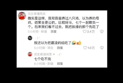 这是一段社交媒体评论区的对话，楼主「完全普通网友」分享了自己和爸爸养鸡的搞笑经历：原本以为养的是八只母鸡，结果全是公鸡，其中七只公鸡合伙霸凌另外一只，楼主一家看不过去，选择先把被欺负的那只公鸡吃掉。有网友疑惑为什么不处理霸凌的七只，楼主回复「七个吃不完」，这段清奇又接地气的逻辑让对话充满笑点。