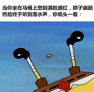 图片上方配有文字描述了一个搞笑场景：当人坐在马桶上憋到满脸通红、脖子崩筋，终于听到落水声后低头查看的瞬间。下方是一幅卡通插画，画面以蓝色为背景，带有许多细小颗粒，前景中有两个黑色圆形物体（类似眼睛）安装在黄色和白色的杆子上，共同向下注视着水中漂浮的一个小型棕色物体，形成努力后的反差幽默效果。