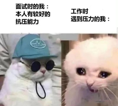 这是一张左右对比的职场梗图。左侧是一只戴着蓝色帽子和黑色墨镜的白猫，表情淡定自信，配文“面试时的我：本人有较好的抗压能力”；右侧是一只眼睛圆大、含泪欲滴的白猫，表情委屈无助，配文“工作时遇到压力的我：”。通过猫咪表情和状态的强烈反差，幽默地展现了面试时自我标榜的抗压能力与实际工作中面对压力时的真实状态之间的差距，引发职场人士共鸣。