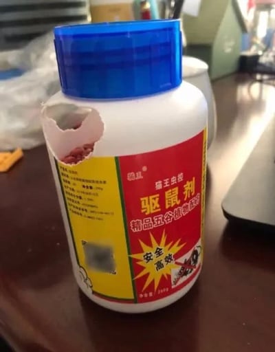 图片中展示了一瓶白色的驱鼠剂，瓶盖为蓝色，瓶身侧面有一个明显的破洞，洞内露出红色的颗粒状内容物。瓶身上的标签以红黄配色为主，印有“猫王虫控 驱鼠剂 精品五谷植物颗粒”字样，下方标注“安全 高效”。背景可见木质桌面和模糊的办公用品，整体场景像是在室内办公桌或家中角落。

**反讽细节**：驱鼠剂本应起到驱赶老鼠的作用，结果瓶子反而被老鼠咬破，形成“产品失效反成老鼠口粮”的滑稽对比，充满生活中的黑色幽默。