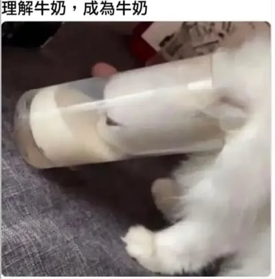 这是一张诙谐的萌宠玩梗静态图，图顶部配有文字“理解牛奶，成為牛奶”；画面主体是一只俗称牛奶猫的黑白猫咪，它将整个头部伸入横放在灰色地面的透明容器里，容器装满了白色牛奶，猫露出在外的白色毛发和牛奶颜色相近，视觉效果仿佛猫和牛奶融为一体，加上猫咪本身就是“牛奶猫”，恰好呼应文字玩梗，巧合之下形成了搞笑的效果。