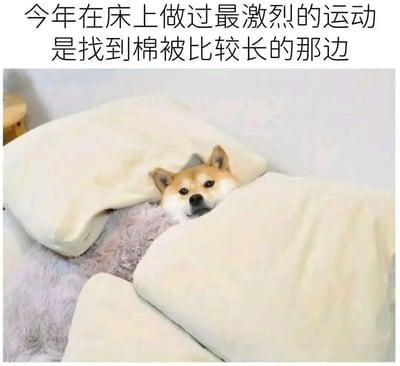 图片上方配有文字“今年在床上做过最激烈的运动是找到棉被比较长的那边”，下方是一只柴犬躲在白色棉被下，只露出脑袋，眼神平静地看向镜头。整体通过反差幽默，用“激烈的运动”调侃日常找棉被长边这一轻松小事，展现了懒人生活的自嘲趣味。