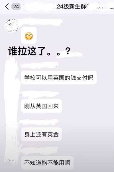 这是一张24级新生群的聊天记录截图，群内成员对话引发搞笑效果。一位用户发出带有黄色调皮笑脸表情的疑问“谁拉这了。。？”，随后另一位用户接连提问“学校可以用英国的钱支付吗”“刚从英国回来”“身上还有英金”“不知道能不能用啊”。其中“英金”可能是对“英镑”的口语化误称，形成幽默误解，截图背景有白色涂抹痕迹，可能用于遮盖隐私信息。