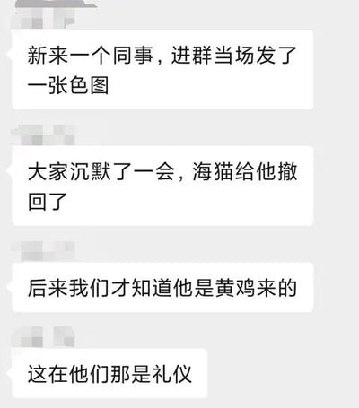一张聊天记录截图，展示了一个职场搞笑瞬间：新同事进群后误发不当图片，引发群内沉默，后被
