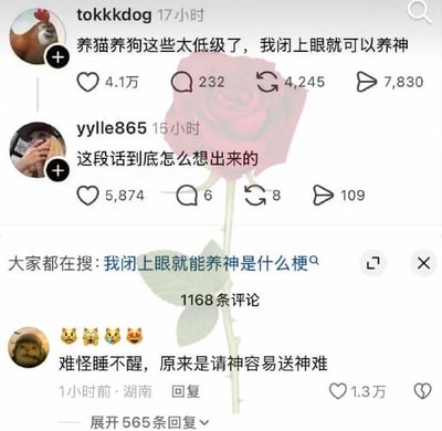 这是一张中文社交平台评论区的截图，背景带有半透明的红玫瑰图案。顶部用户tokkkdog发布原帖：“养猫养狗这些太低级了，我闭上眼就可以养神”，该帖获得4.1万赞、232条评论、4245次转发、7830次分享。随后用户yylle865评论“这段话到底怎么想出来的”，该评论获得5874赞。页面中部显示搜索提示“大家都在搜：我闭上眼就能养神是什么梗”，标注共有1168条评论。下方一名来自湖南的网友评论，搭配四个猫咪表情，点破了这个梗的笑点：“难怪睡不醒，原来是请神容易送神难”，这条评论获得1.3万赞。内容利用“养神”的一语双关制造笑点：原句本指闭眼休息养神，被解读为“饲养神灵”，因此引出后续调侃。