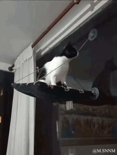 这是一段动态GIF，画面中一只黑白花色的猫咪趴在通过吸盘固定于玻璃窗的吊床上，猫咪身体晃动后失去平衡，最终从吊床上摔落，整个过程滑稽有趣，记录了宠物日常的搞笑瞬间。图中没有双关、谐音梗或暗示内容。