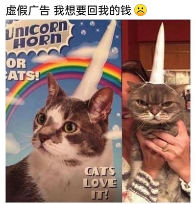 这是一张左右分栏的静态对比图，核心是吐槽宠物商品的“虚假宣传”。左侧是“猫咪独角兽角”的商品宣传广告图：一只花纹猫咪戴着白色独角兽角，圆睁着好奇的眼睛抬头望向上方，背景是带有彩虹、云朵和气泡的梦幻画面，图中配英文文字“UNICORN HORN FOR CATS!”和“CATS LOVE IT!”，营造出猫咪十分喜爱这个装饰的温馨可爱氛围。右侧是买家的实际实拍图：一只表情愤怒、眉头紧皱的灰猫被人用手抱着，头上戴着同款简陋的独角兽角，猫咪满脸不情愿，眼神凶狠，和宣传图里的灵动可爱形成强烈反差。图片顶部配有中文文字“虚假广告 我想要回我的钱 😞”，直白地表达了买家对商品效果与宣传严重不符的不满，属于典型的“卖家秀vs买家秀”搞笑梗图，通过强烈的反差感制造幽默效果，引发有类似购物经历的网友共鸣。