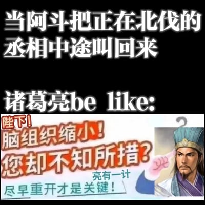 这是一张基于《三国演义》典故创作的搞笑梗图，上方文字设定场景为：正在北伐的诸葛亮被后主刘禅（阿斗）中途召回，下方通过改编的网络吐槽文案和诸葛亮的形象，来表现他的崩溃与无奈。文案用“脑组织缩小！您却不知所措？”吐槽阿斗的昏庸，“尽早重开才是关键！”结合网络流行语“重开”（指放弃当前局面重新开始），搭配诸葛亮手指点额头的动作，夸张地演绎出他对阿斗召回自己这一昏招的无语情绪，属于对经典三国故事的趣味二次创作。