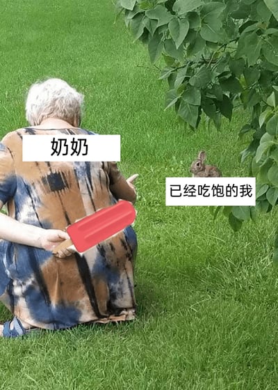 暂无描述