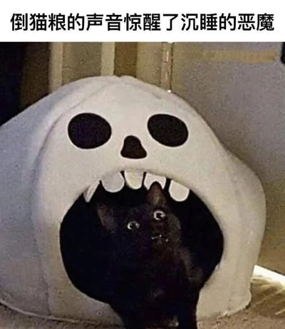 一只黑猫从骷髅形状的猫窝中探出头来，眼睛瞪得很大，表情惊讶。图片上方配有文字“倒猫粮的声音惊醒了沉睡的恶魔”，用幽默的方式表现了猫咪听到倒猫粮声音时的反应。