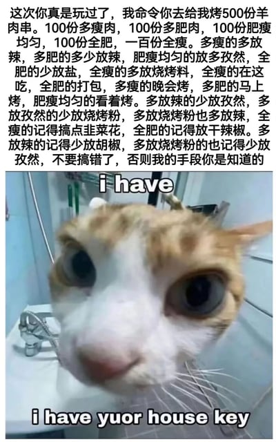 这是一张搞笑梗图，上方是一段冗长且要求极其繁琐、细节多到容易混淆的烤羊肉串指令，以威胁的语气要求对方完成500份不同规格、调味、处理方式的羊肉串，营造出被不合理苛刻要求支配的压迫感；下方是一张猫咪特写图，猫咪瞪大双眼，配文拼写有误的英文“i have i have yuor house key”，用一种硬气又带点摆烂的态度反击上方的威胁，形成强烈的反差感，精准吐槽了职场或生活中遇到的离谱、苛刻的要求，引发共鸣。