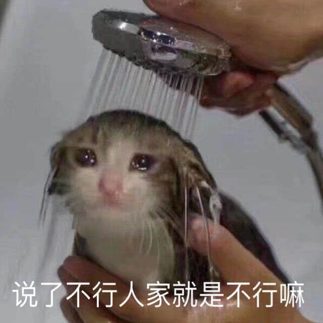 猫咪洗澡委屈巴巴：说了不行人家就是不行嘛
