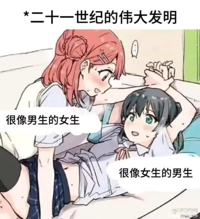 这是一张动漫风格的图片，展示了两个女生的互动场景。上方文字标注为'二十一世纪的伟大发明'，粉发女生俯身对黑发女生说'很像男生的女生'，黑发女生回应'很像女生的男生'。图片通过幽默方式调侃了性别刻板印象和外貌特征的多样性。