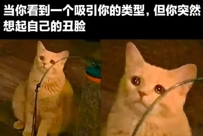 图片上方有白色文字'当你看到一个吸引你的类型，但你突然想起自己的丑脸'，下方是左右两张橘猫的对比图。左边的橘猫正抬头看着前方，眼神中带着好奇和一丝向往；右边的橘猫脸部特写，眼神变得黯淡，耳朵耷拉，表情像是突然意识到什么而陷入自我怀疑。整体用猫咪的表情变化生动展现了人们遇到心动对象时因外貌焦虑产生的内心落差。