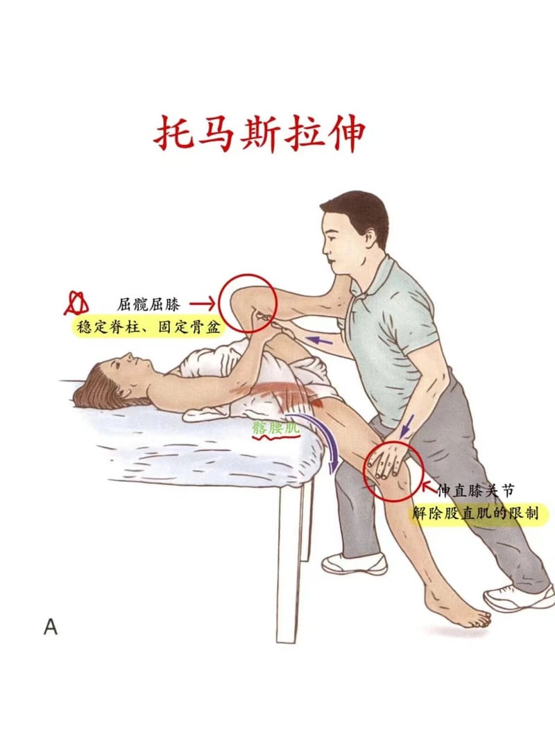 健身教学插图